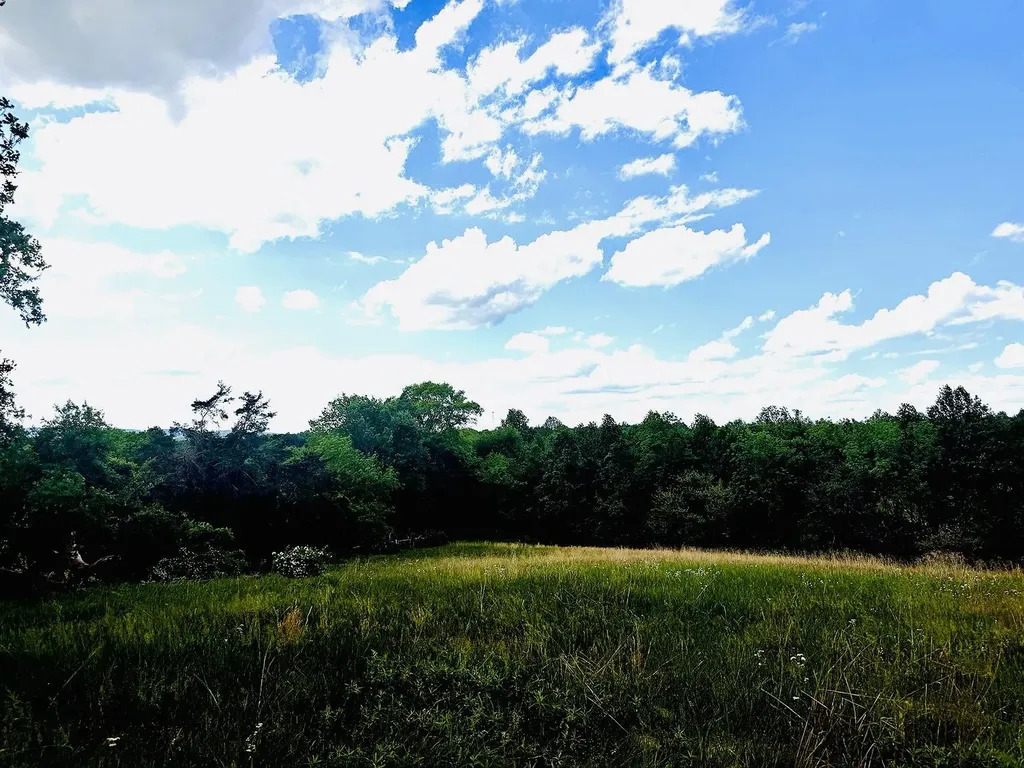 02 Simpson Hollow Road Monticello KY 42633