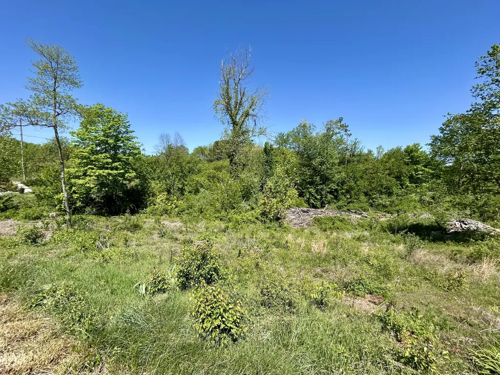 86 Rose Point Somerset KY 42503