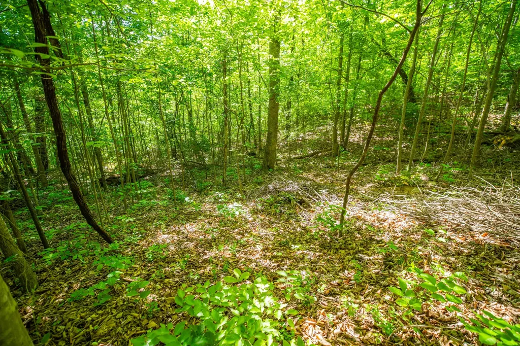 1051 Kelley Lane Spann Hill Monticello KY 42633
