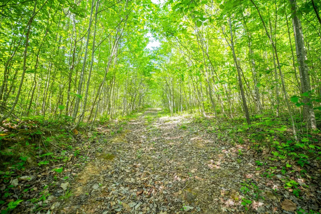 1051 Kelley Lane Spann Hill Monticello KY 42633