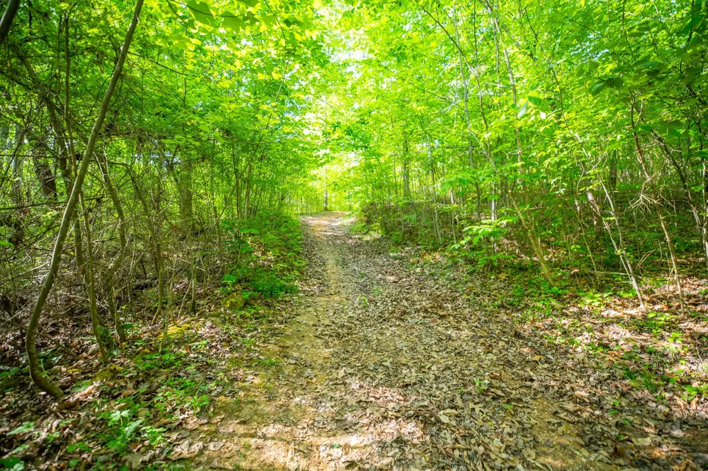 1051 Kelley Lane Spann Hill Monticello KY 42633