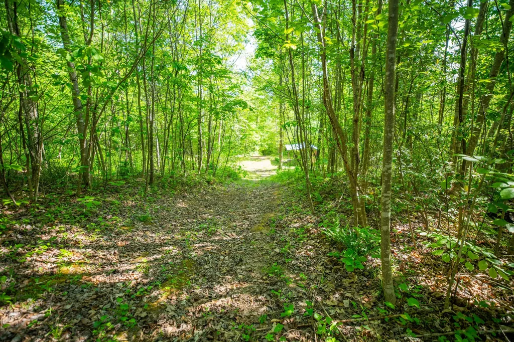 1051 Kelley Lane Spann Hill Monticello KY 42633