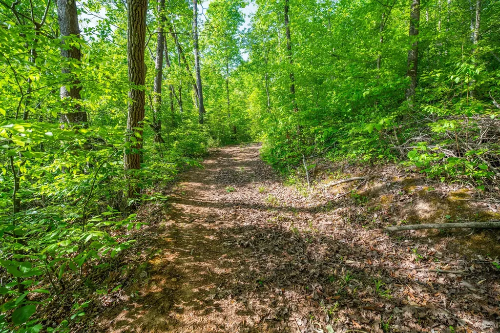 1051 Kelley Lane Spann Hill Monticello KY 42633