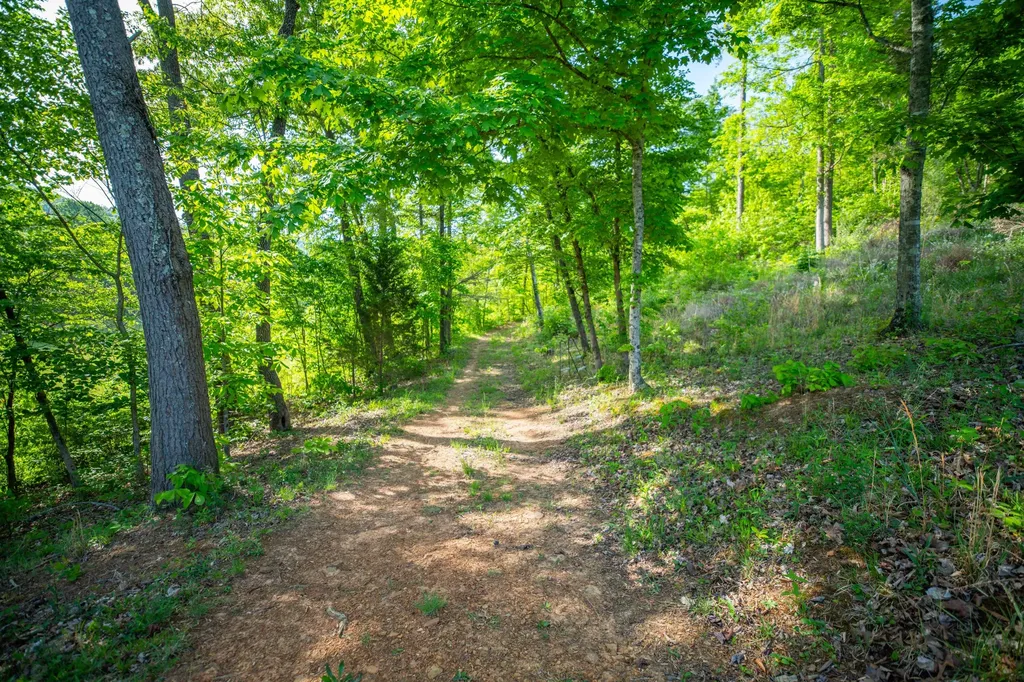 1051 Kelley Lane Spann Hill Monticello KY 42633