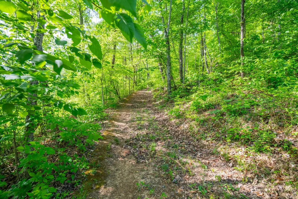 1051 Kelley Lane Spann Hill Monticello KY 42633
