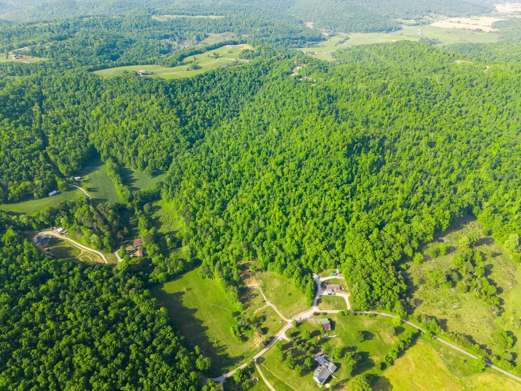 1051 Kelley Lane Spann Hill Monticello KY 42633