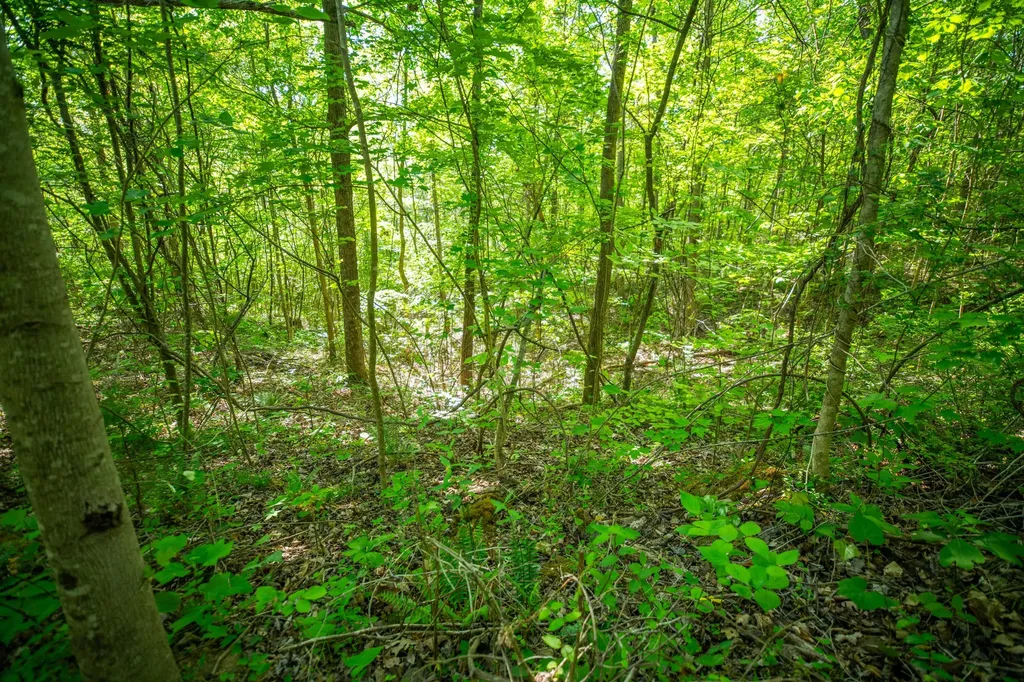 1051 Kelley Lane Spann Hill Monticello KY 42633