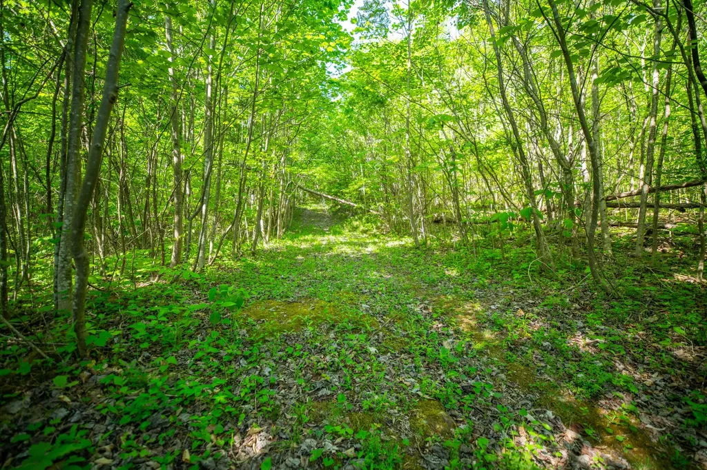 1051 Kelley Lane Spann Hill Monticello KY 42633
