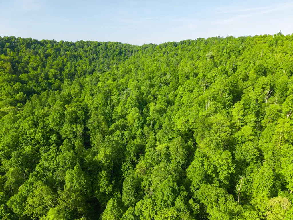 1051 Kelley Lane Spann Hill Monticello KY 42633