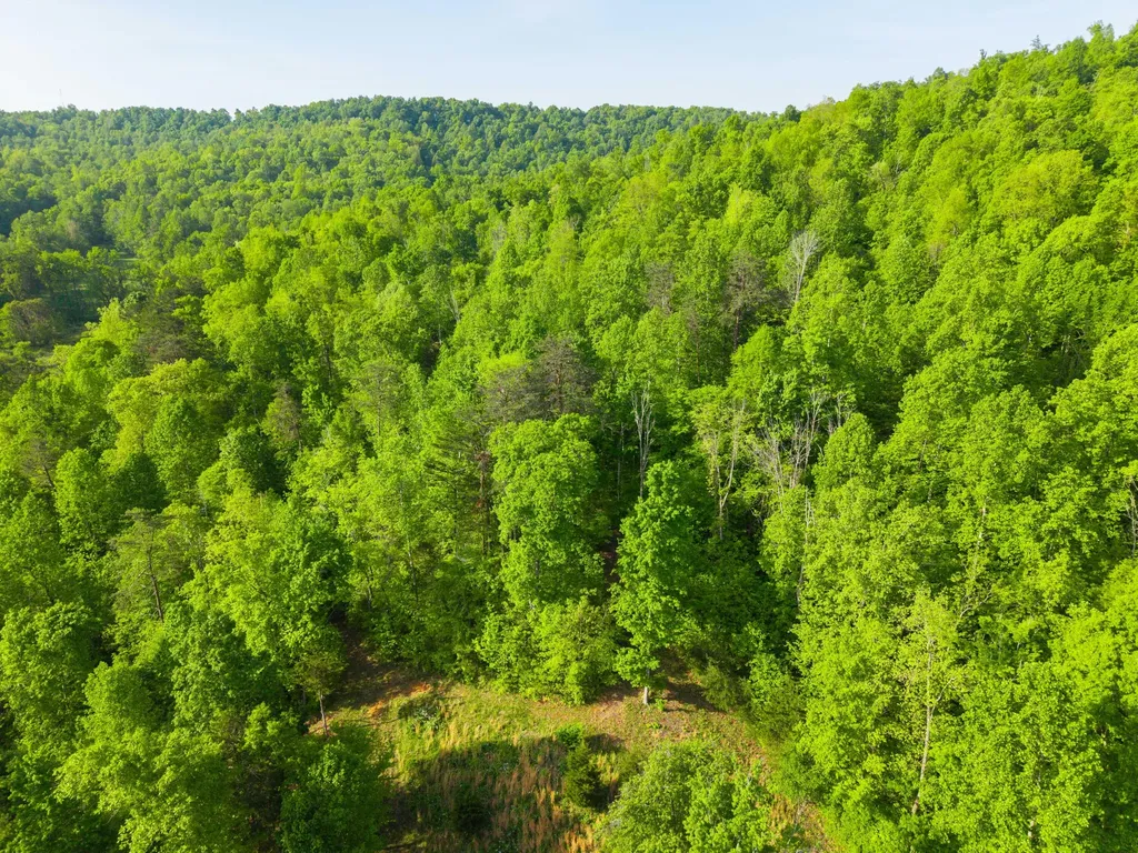 1051 Kelley Lane Spann Hill Monticello KY 42633