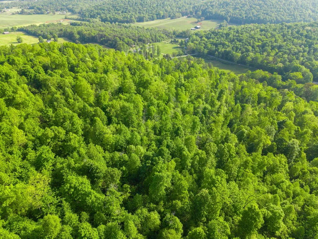 1051 Kelley Lane Spann Hill Monticello KY 42633