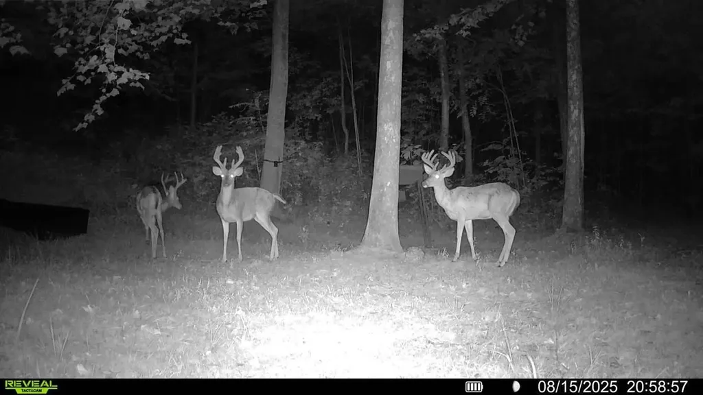 1051 Kelley Lane Spann Hill Monticello KY 42633