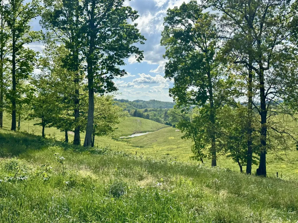 754 Pittsburg Landing London KY 40741