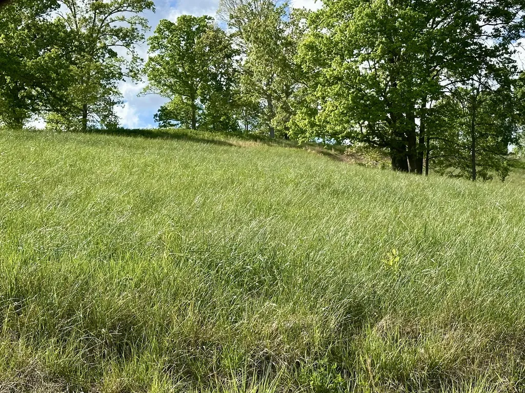 754 Pittsburg Landing London KY 40741