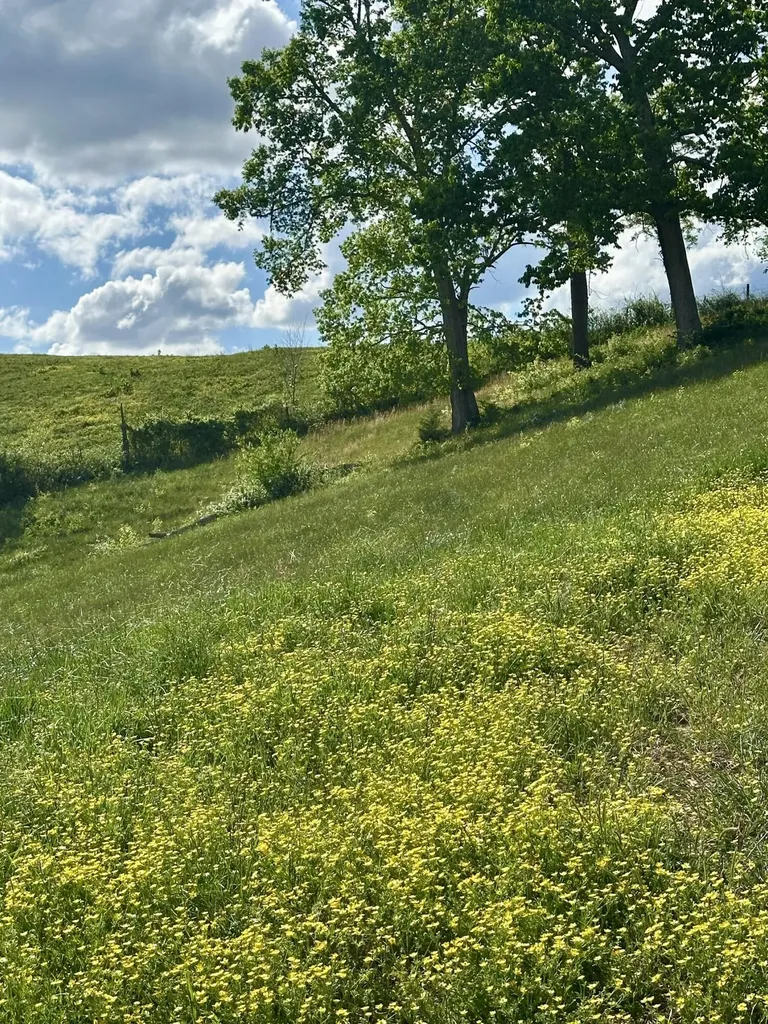 754 Pittsburg Landing London KY 40741