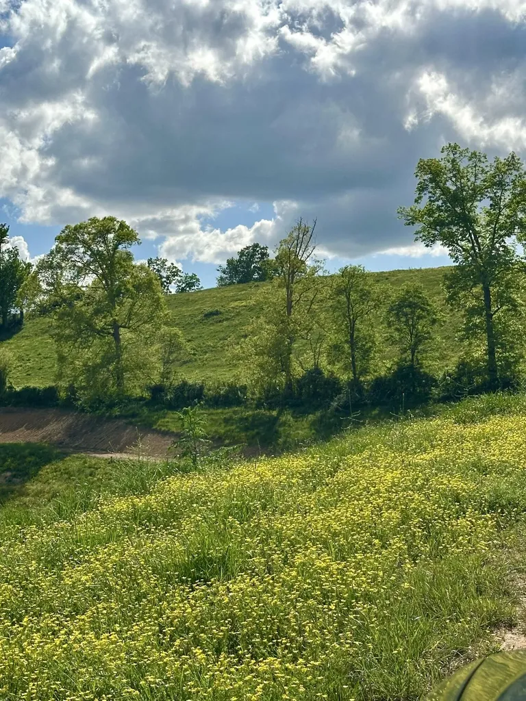 754 Pittsburg Landing London KY 40741
