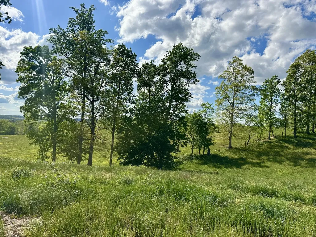 754 Pittsburg Landing London KY 40741