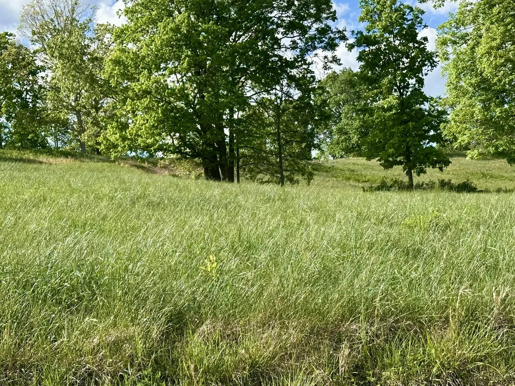 754 Pittsburg Landing London KY 40741