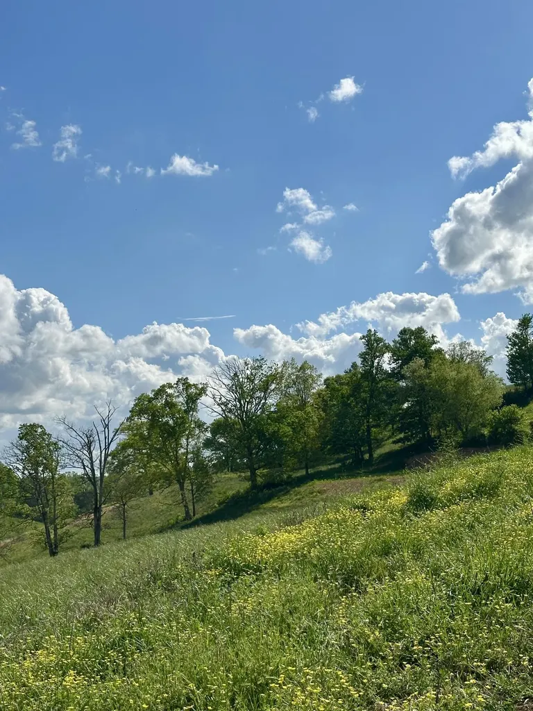 754 Pittsburg Landing London KY 40741