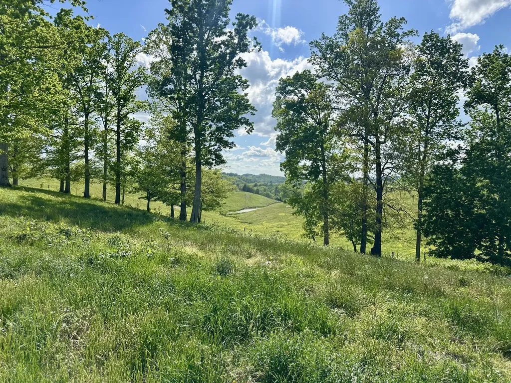 754 Pittsburg Landing London KY 40741