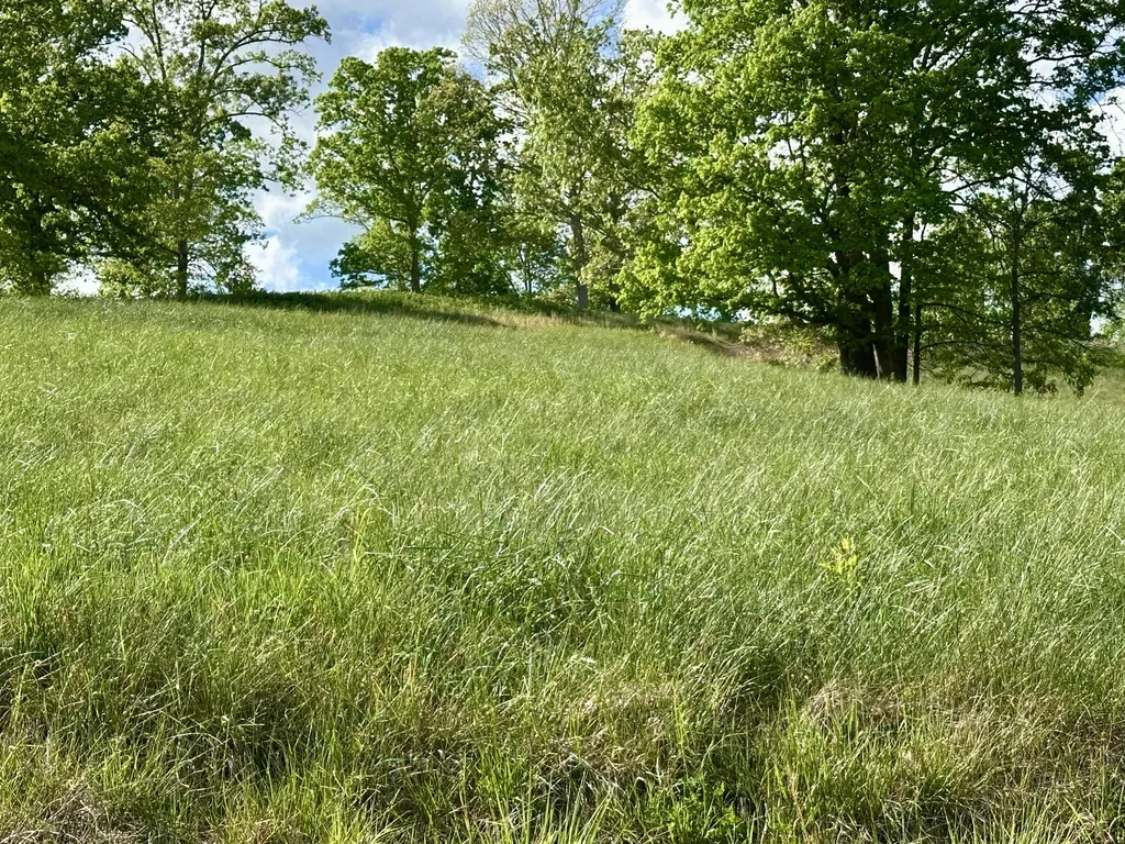 754 Pittsburg Landing London KY 40741