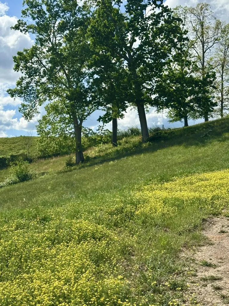 754 Pittsburg Landing London KY 40741