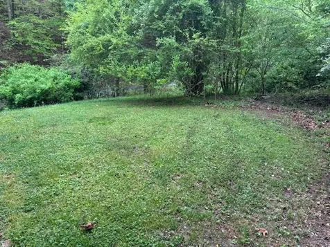 993 Lick Branch Road Carrie KY 41725