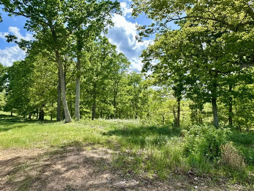 119 Hawk London KY 40741