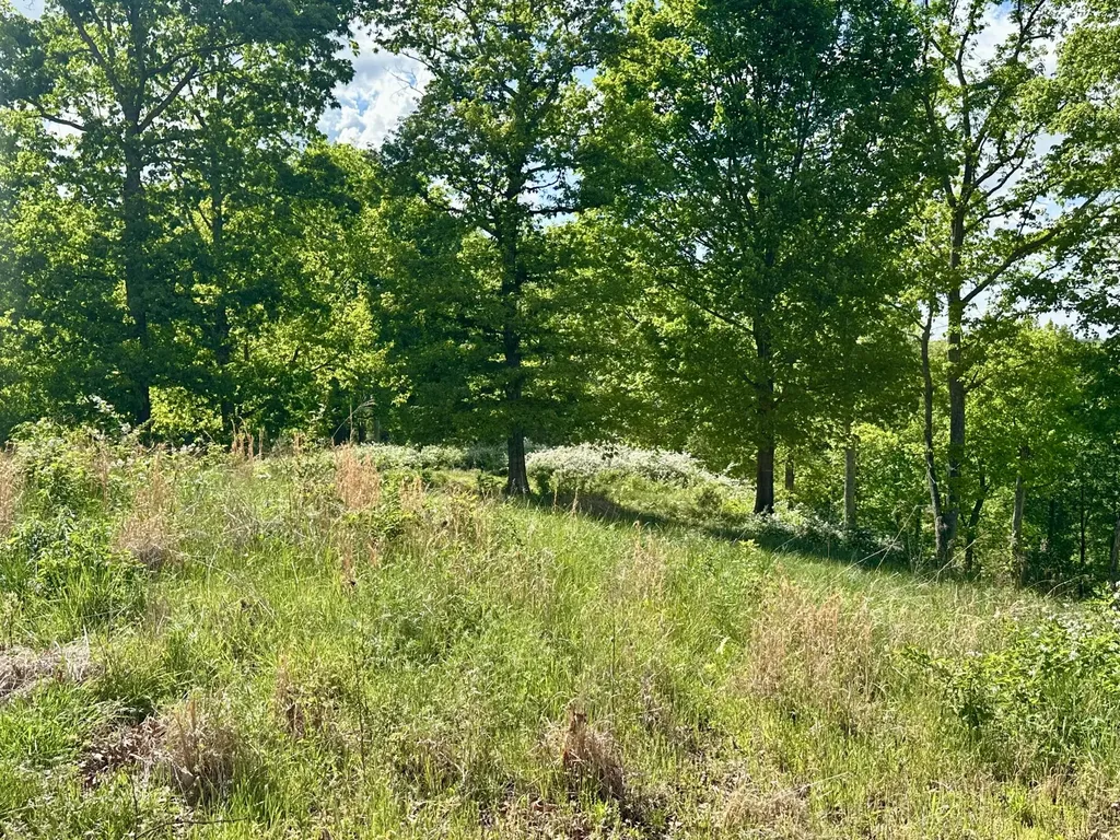 119 Hawk London KY 40741
