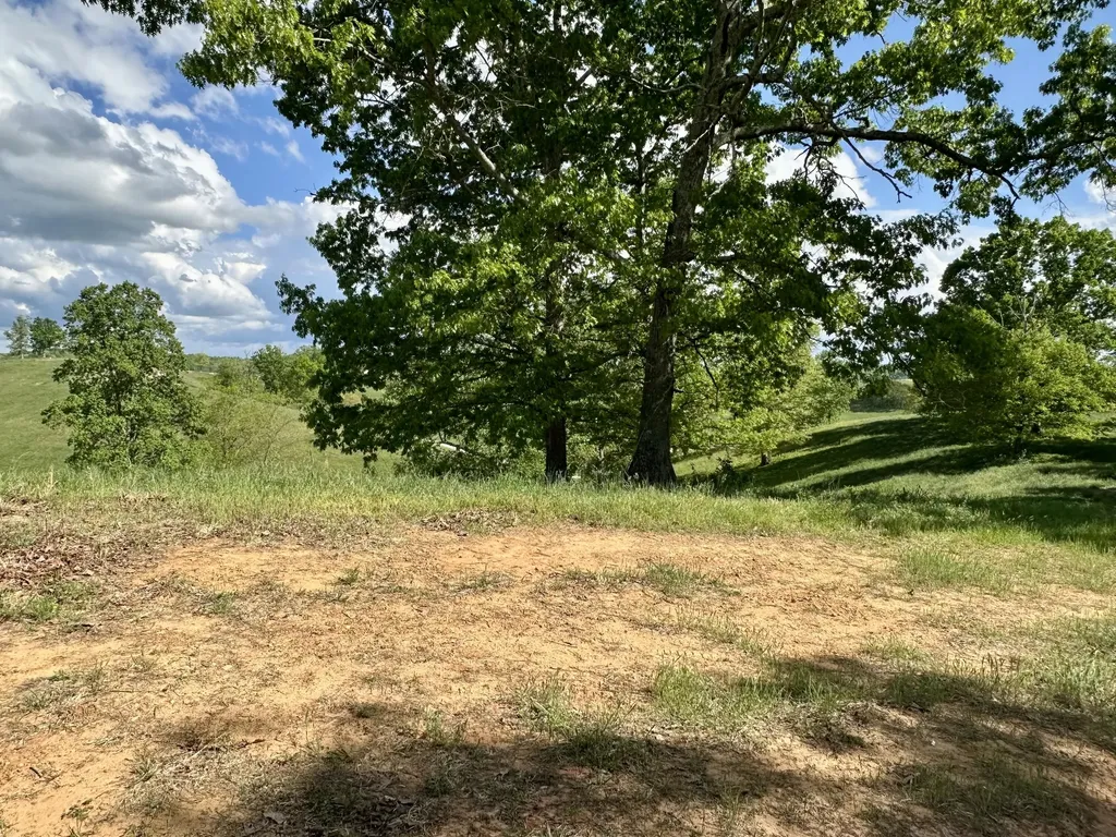 119 Hawk London KY 40741