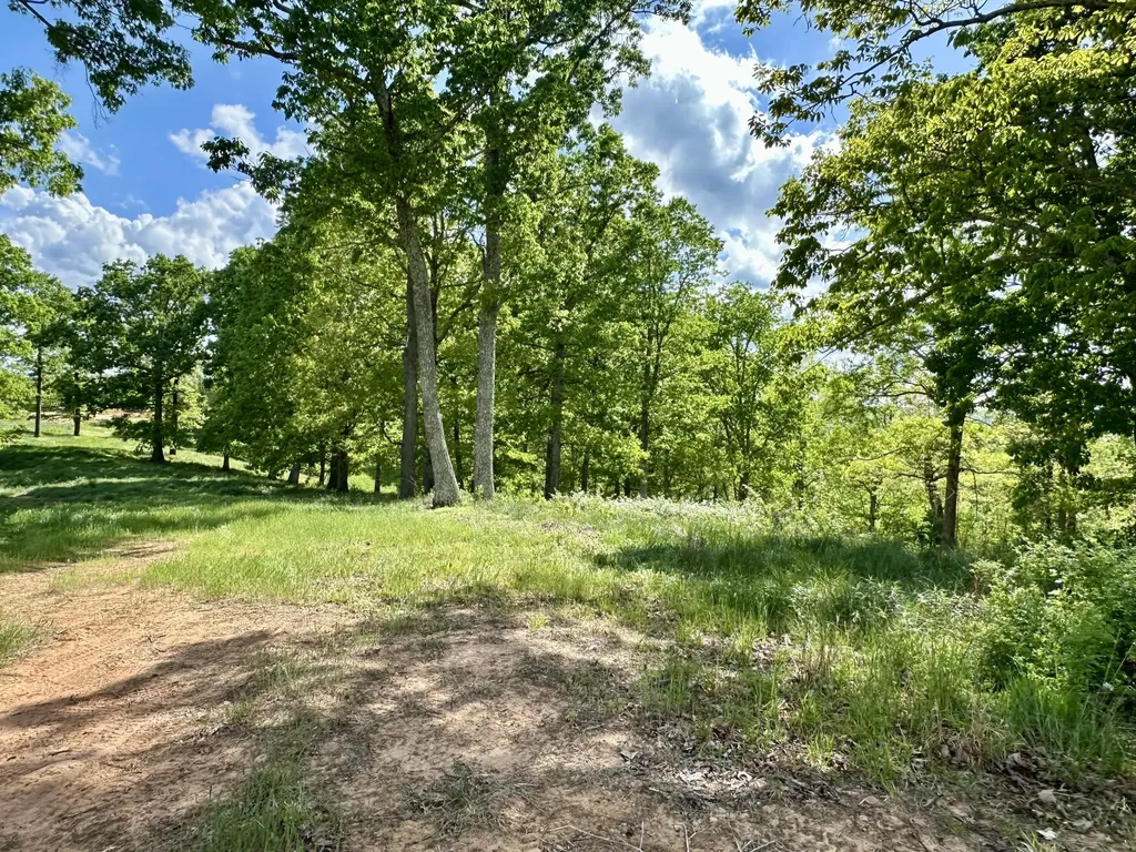 119 Hawk London KY 40741
