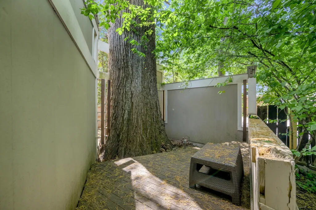 340 New Street Lexington KY 40507