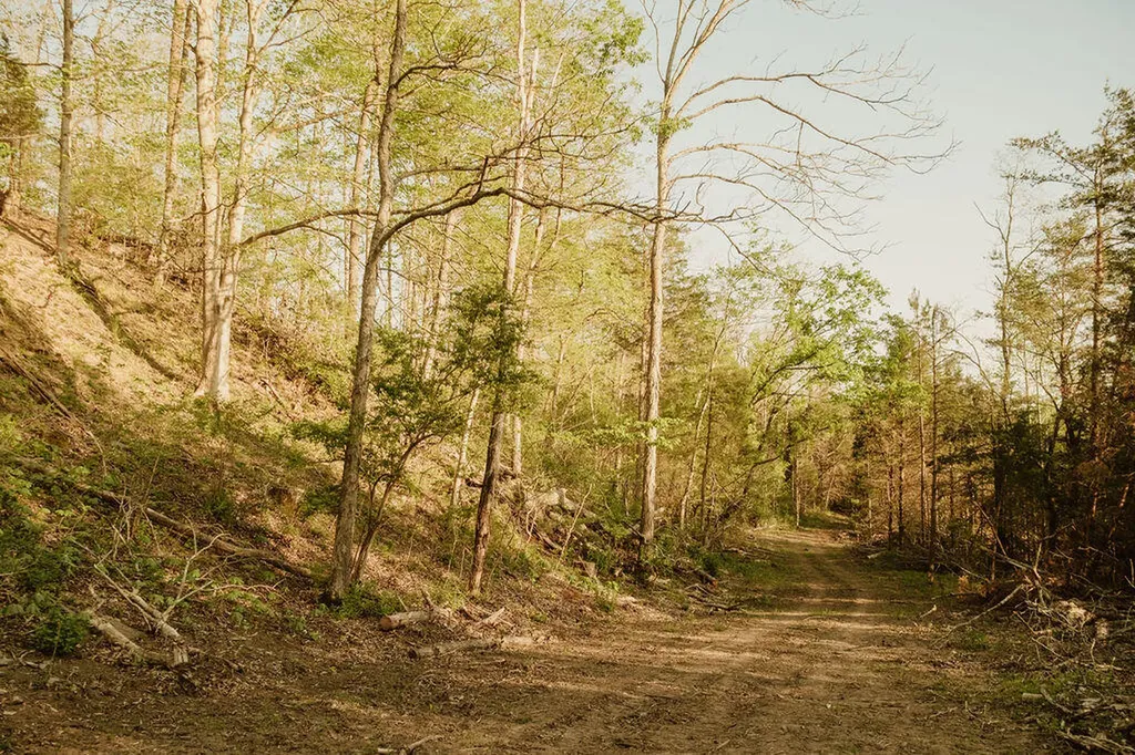 2697 Pine Ridge Road Winchester KY 40391