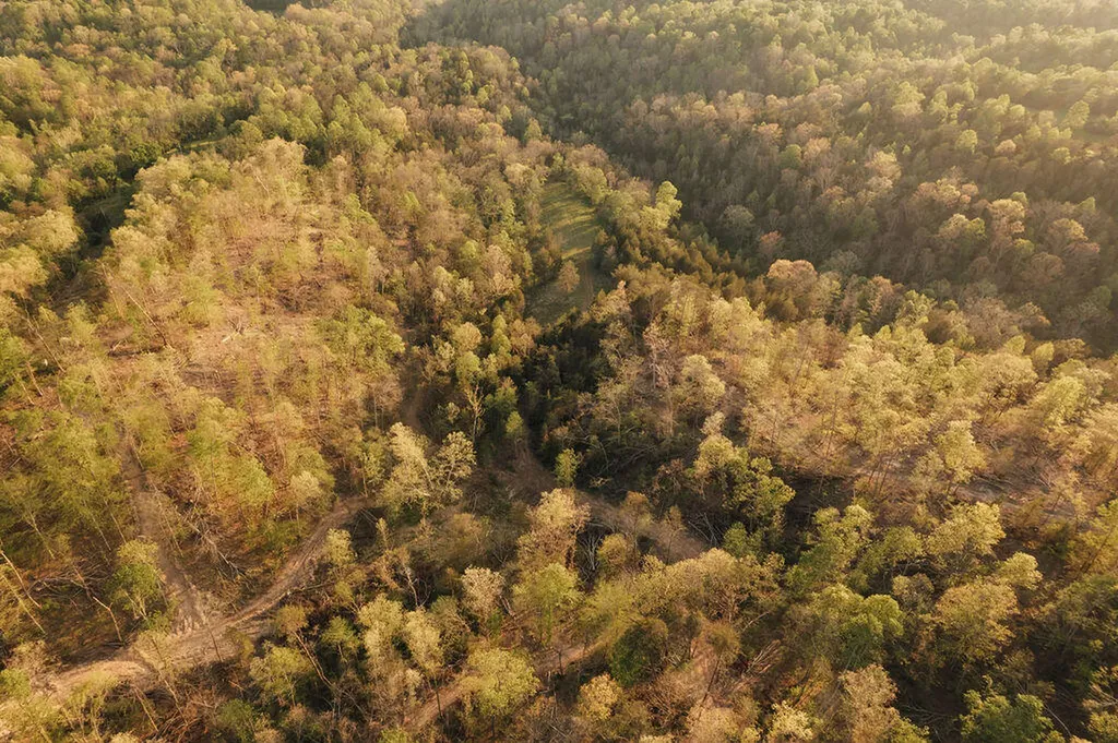 2697 Pine Ridge Road Winchester KY 40391