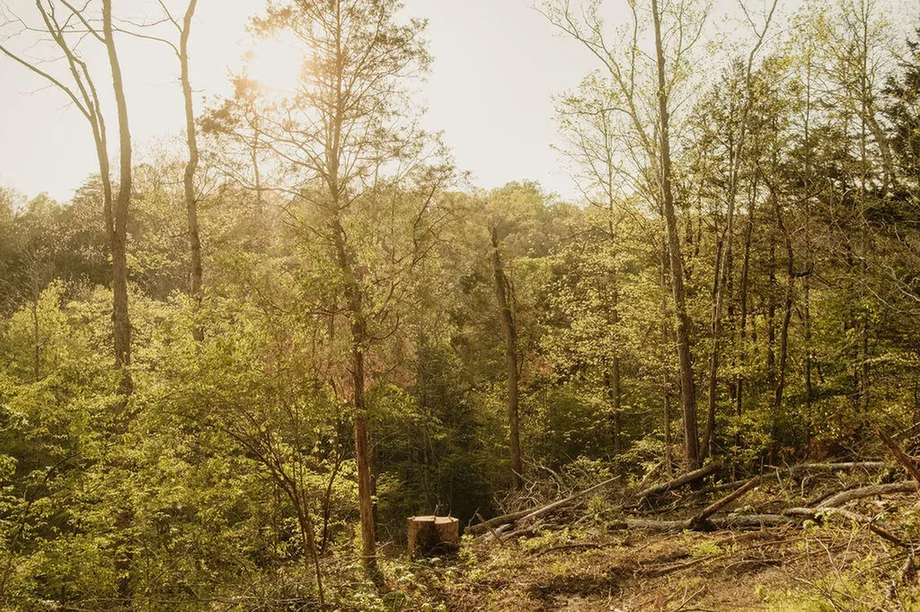 2697 Pine Ridge Road Winchester KY 40391