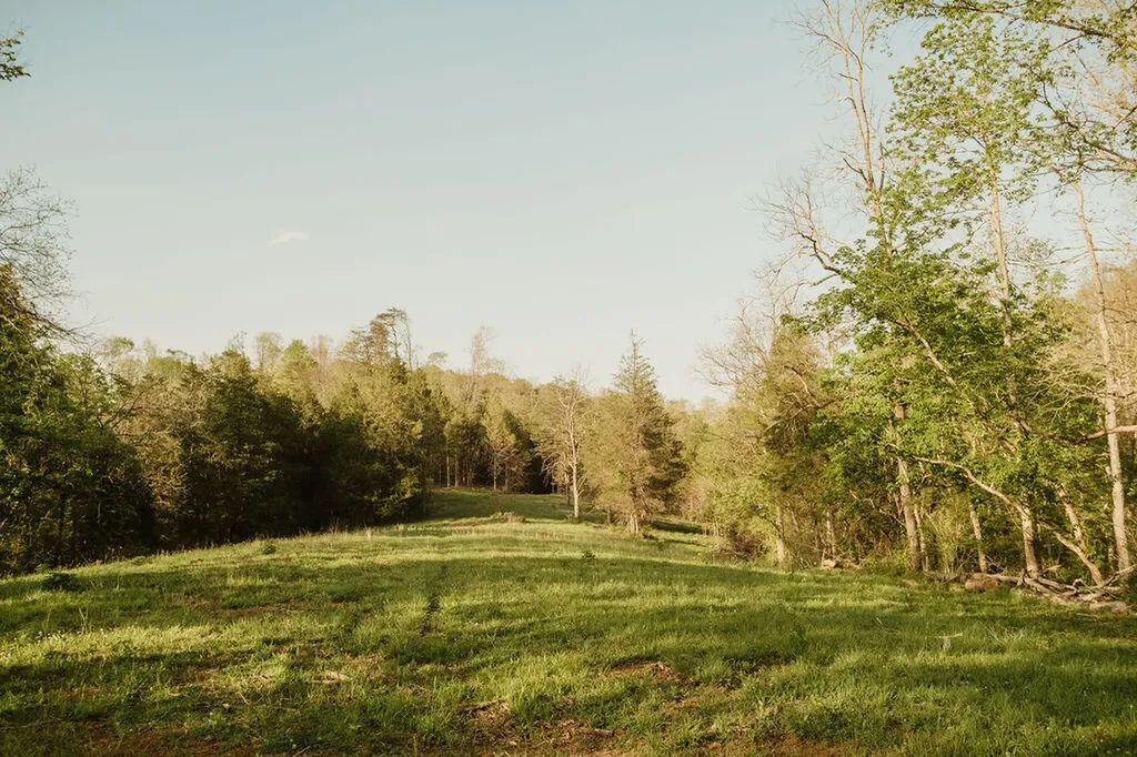 2697 Pine Ridge Road Winchester KY 40391
