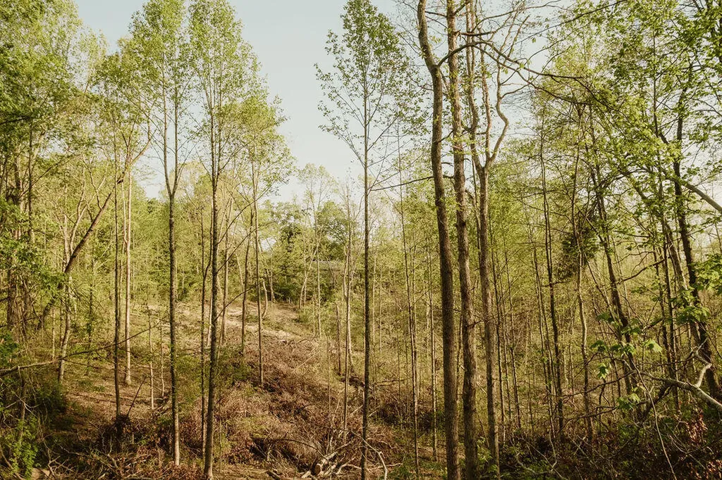 2697 Pine Ridge Road Winchester KY 40391
