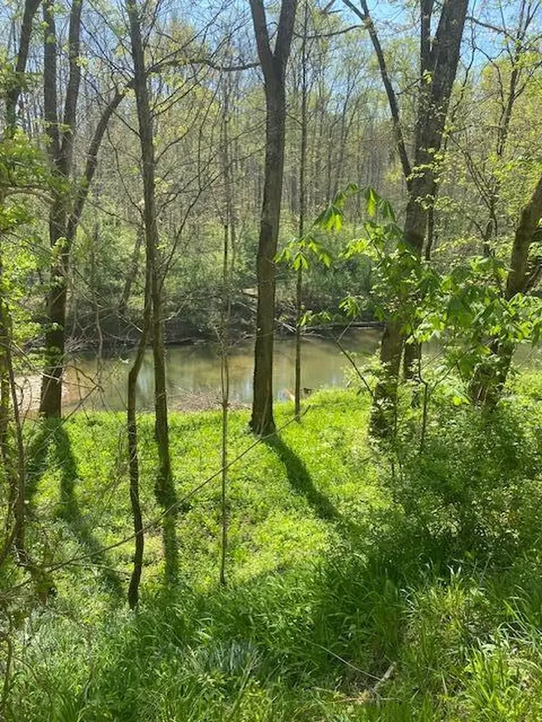 3110-3506 S Upper River S Upper River Road Livingston KY 40445