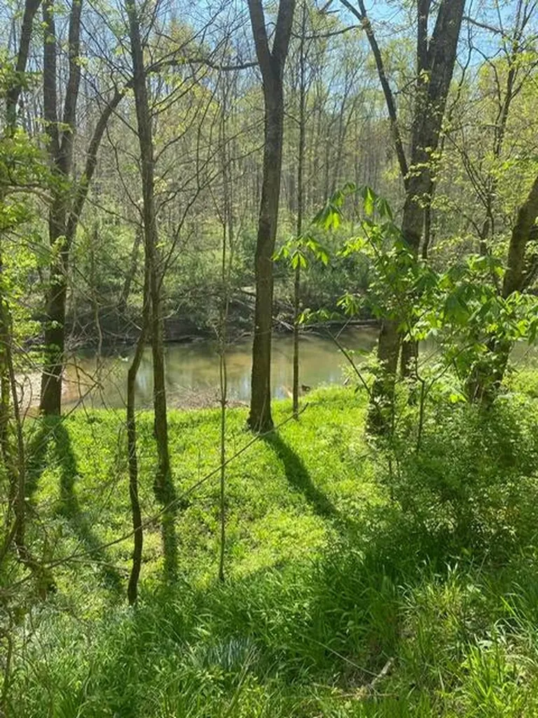 3110-3506 S Upper River S Upper River Road Livingston KY 40445
