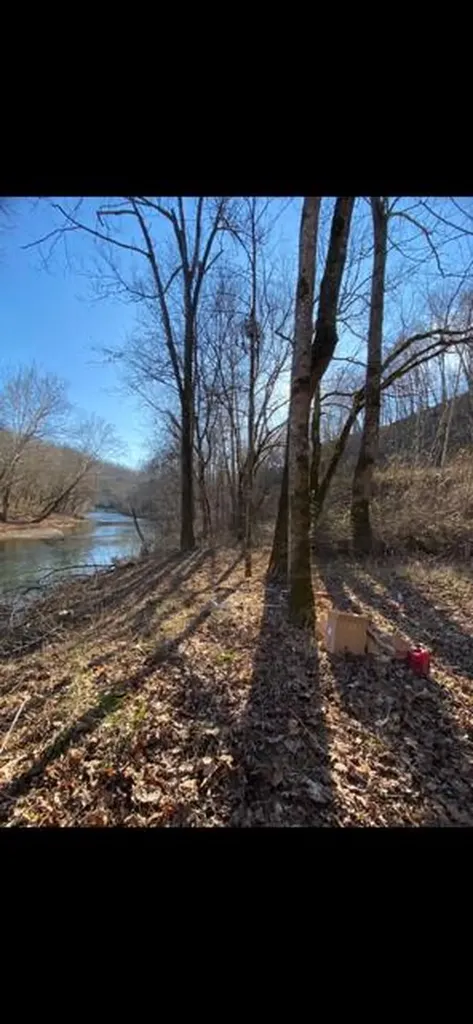 3110-3506 S Upper River S Upper River Road Livingston KY 40445