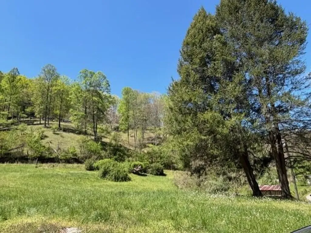 1310 Little Blacklog Road Inez KY 41224