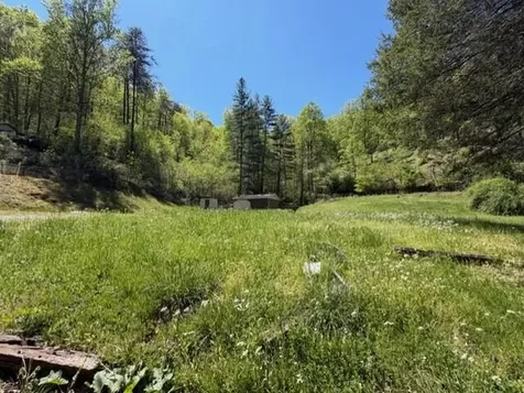 1310 Little Blacklog Road Inez KY 41224