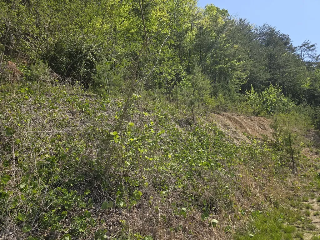 391 Rose Road Pineville KY 40977
