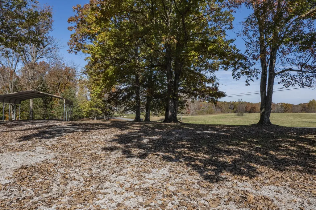 679B Bell Phipps Road Monticello KY 42633