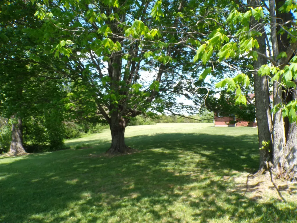 250 Holladay Lane Waco KY 40385