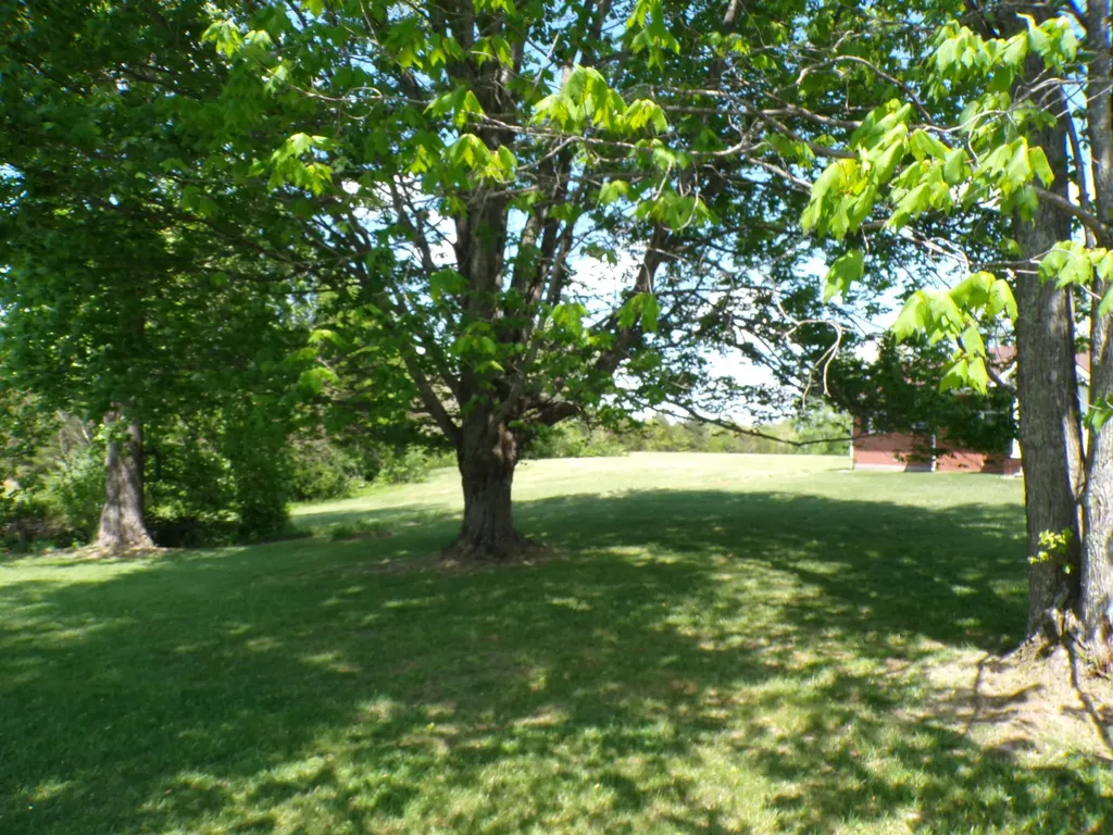 250 Holladay Lane Waco KY 40385