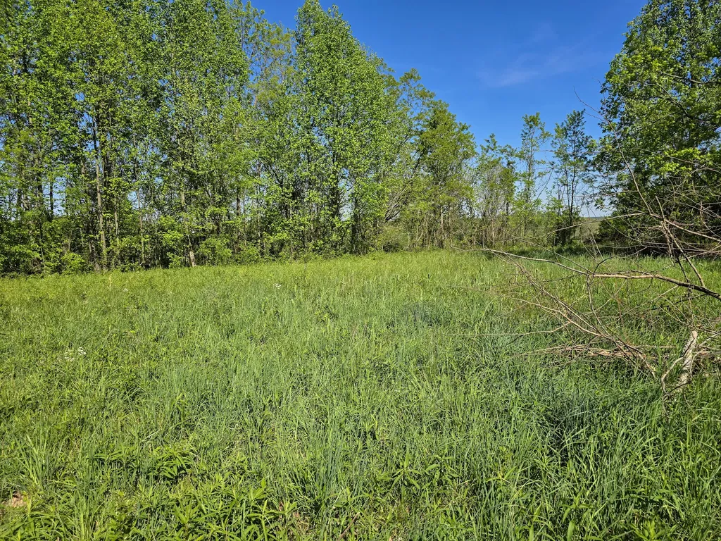 Tract A Key 501 Kings Mountain KY 40442