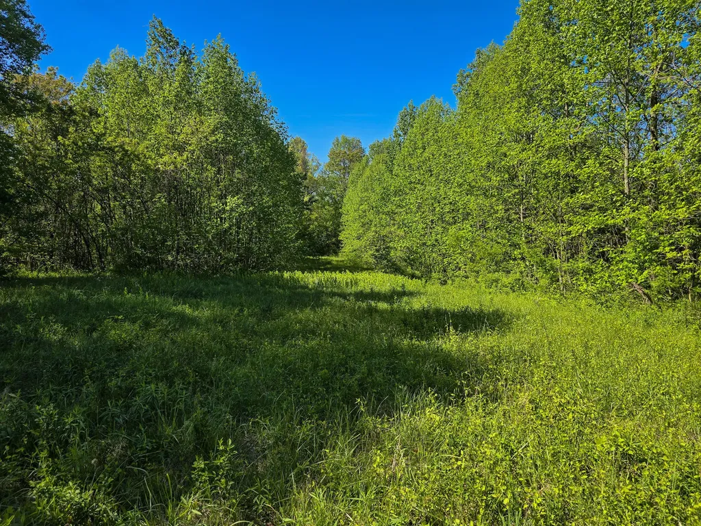 Tract A Key 501 Kings Mountain KY 40442