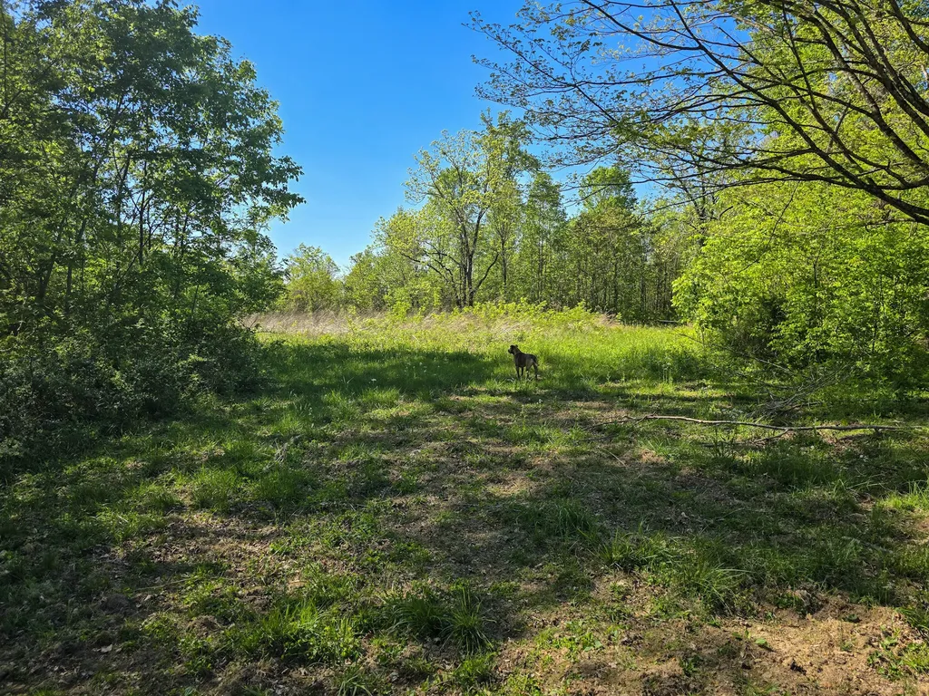 Tract A Key 501 Kings Mountain KY 40442