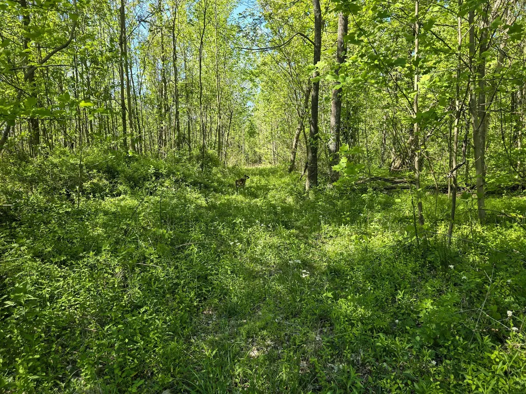 Tract A Key 501 Kings Mountain KY 40442